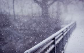 snow, nature, winter