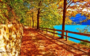 lake, autumn, trees