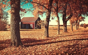 foliage, house, autumn