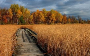 landscape, autumn