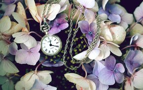 clocks, flowers, stunner