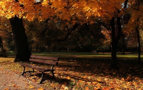park, autumn