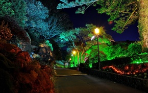 park, nature