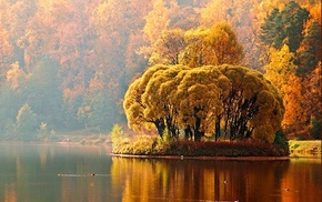 autumn, river, sky, trees