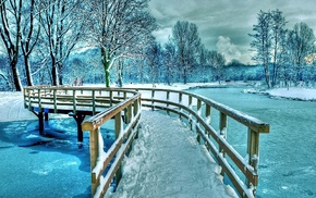 winter, trees, snow