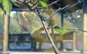sunlight, rain, branch, Makoto Shinkai, summer