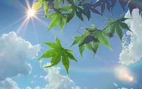 sunlight, sun rays, leaves, summer, Makoto Shinkai, clouds