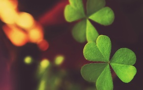 macro
