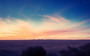 sunset, field, sky