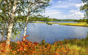 autumn, lake