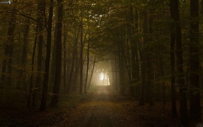 nature