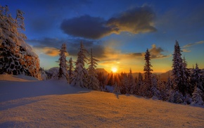 winter