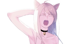 animal ears, nekomimi, original characters, anime, anime girls