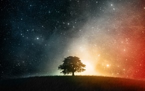 trees, stars, space