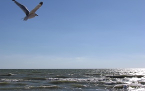 sea, nature, sky