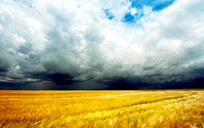 field, nature