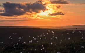 sunset, nature, evening, valley