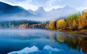 mountain, nature, trees, lake, mist