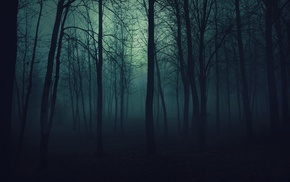 dark, forest