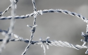 closeup, macro, frost, barbed wire, ice