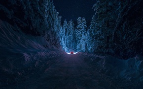 winter, snow, night, forest, nature, path