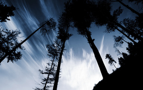 hill, sky, nature, evening, trees