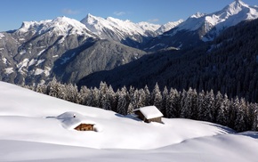 mountain, winter