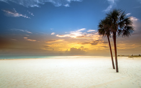 beach, palm trees, nature, sand, sky