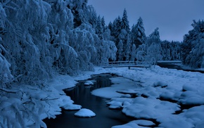 snow, winter, forest