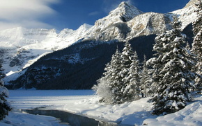 winter