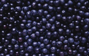 food, blueberries