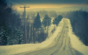 winter, forest, road
