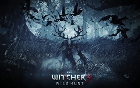 The Witcher 3 Wild Hunt, The Witcher