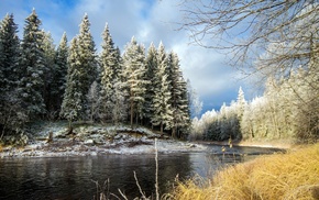 river, trees, nature, forest, snow