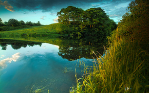 nature, summer, river