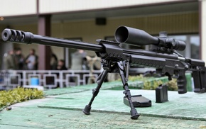gun