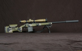 gun