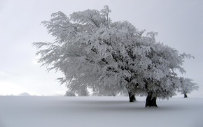winter, snow