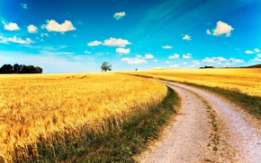 road, landscape, field