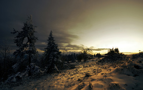sunset, snow, trees, winter, nature