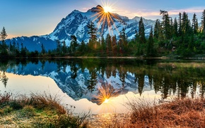 forest, landscape, mountain, sun rays