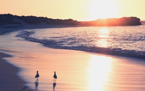 beach