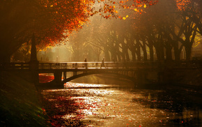river, park, bridge, autumn