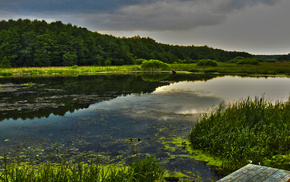 summer, lake, nature