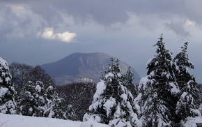 winter, nature, forest