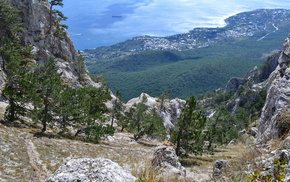 nature, forest, mountain