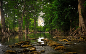 nature