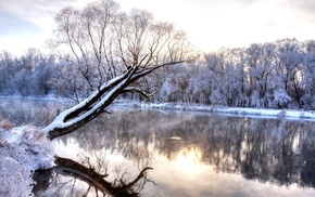 nature, winter