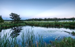 lake, mist, nature