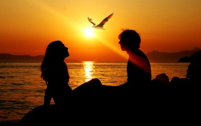love, boy, sea, bird, sunset